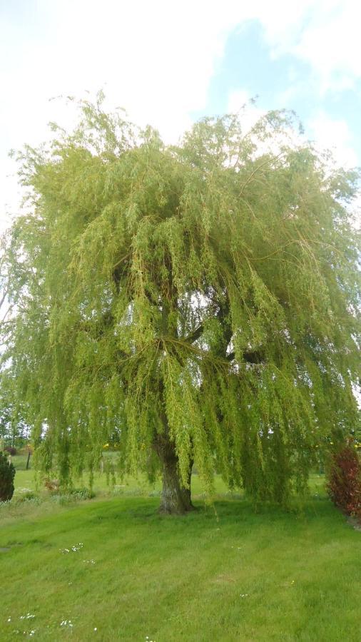הוילה Les Attaques Au Grand Saule חדר תמונה